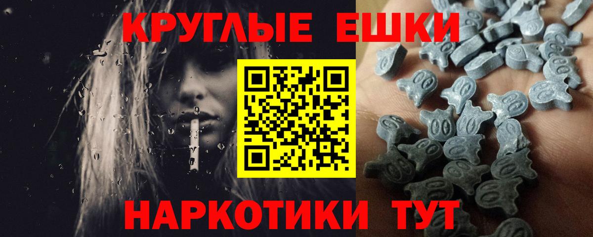 ЭКСТАЗИ Philipp Plein Краснотурьинск