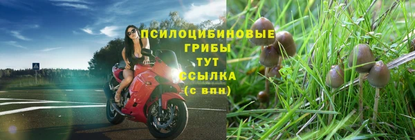 mix Арсеньев