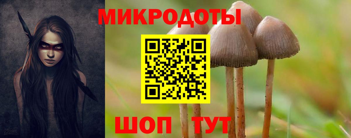 Галлюциногенные грибы Psilocybe  Вход с VPN  Псилоцибиновые грибы MAGIC MUSHROOMS  Краснотурьинск 